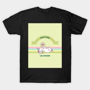 One Of A Kind Like A Unicorn T-Shirt